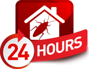 24 Hour Exterminator Greencastle, Pennsylvania