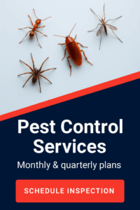 Pest Control Inspection