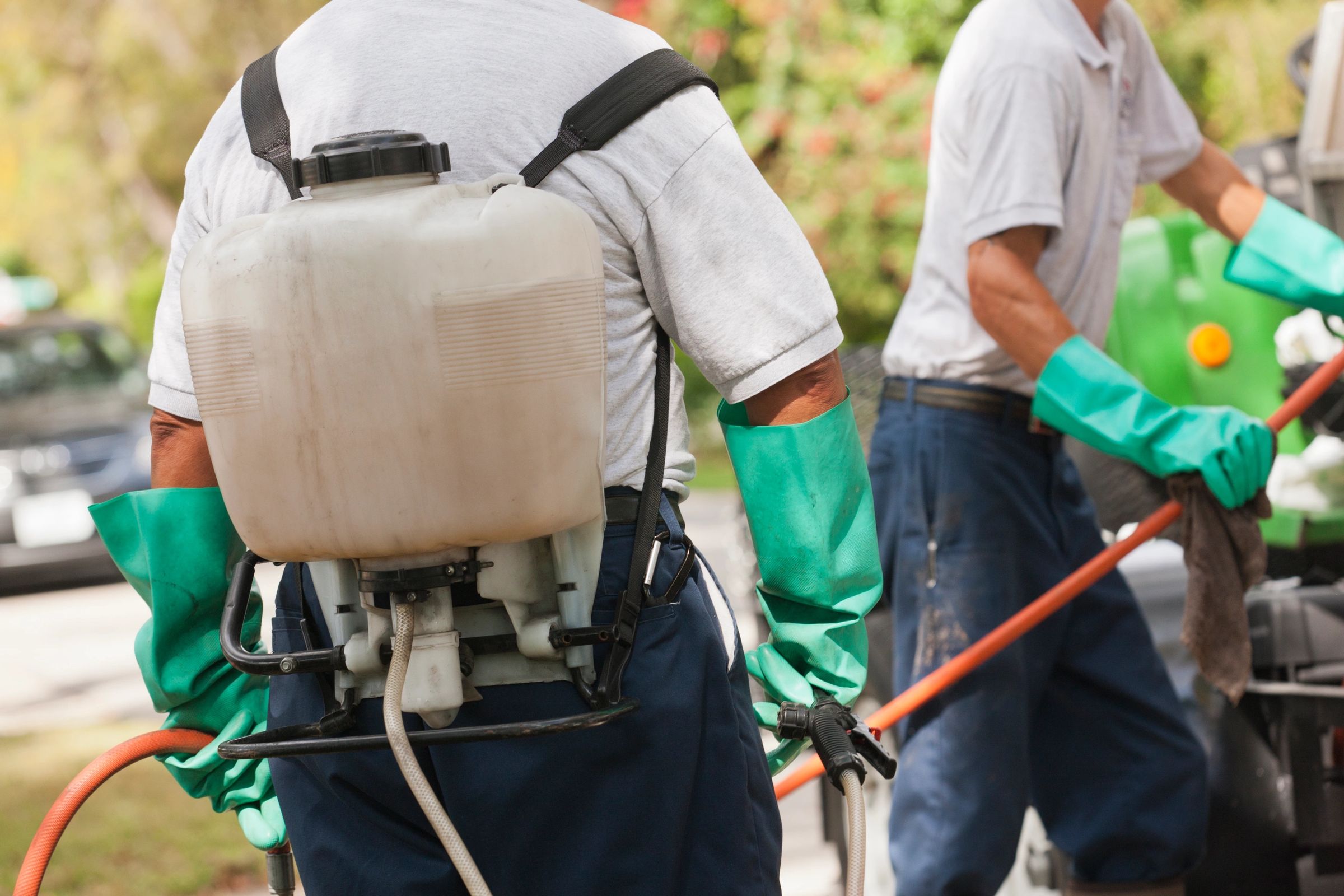 Pest control professional with service equipment