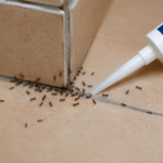 Ant Control in Aurora, IN